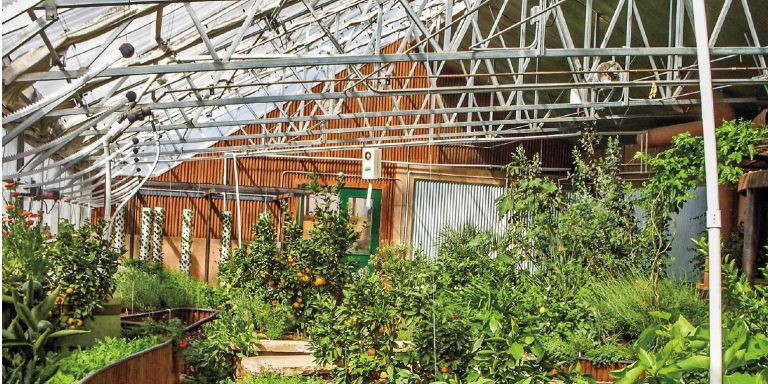 Things to Consider While You Want a Greenhouse