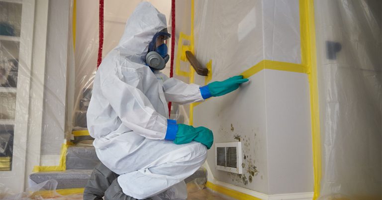 Reasons for choosing a professional mold remediation technician