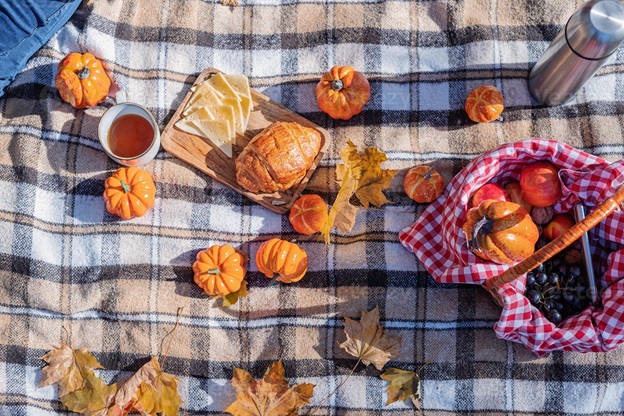 5 things you need for an unforgettable autumn picnic
